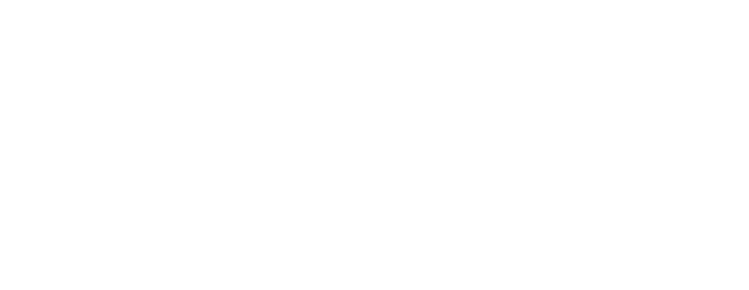 BVS Capital & Holding